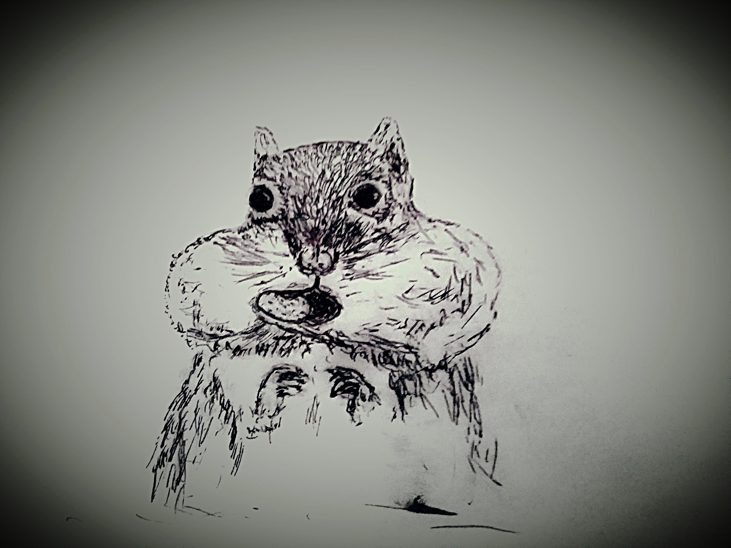 Swollen - Day 17What?- What peanut?